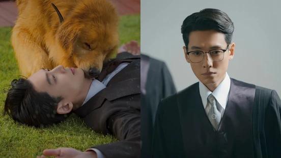 《公益律師》首播評價好看!鄭敬淏+可愛狗狗怎能拒絕?被蘋果箱現金陷害的網紅法官、勢利卻正義的不完美英雄,收視最高破7%