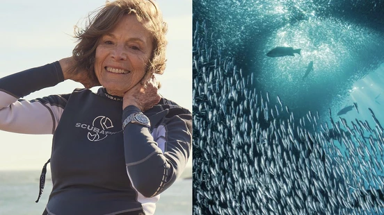 薑是老的辣！無繫繩潛水紀錄40年保持人Sylvia Earle 是誰？｜SDGs永續目標