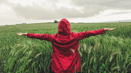 2026「節氣雨水」16天生肖運勢排名！屬兔坐擁財神、屬馬防酒後失控
