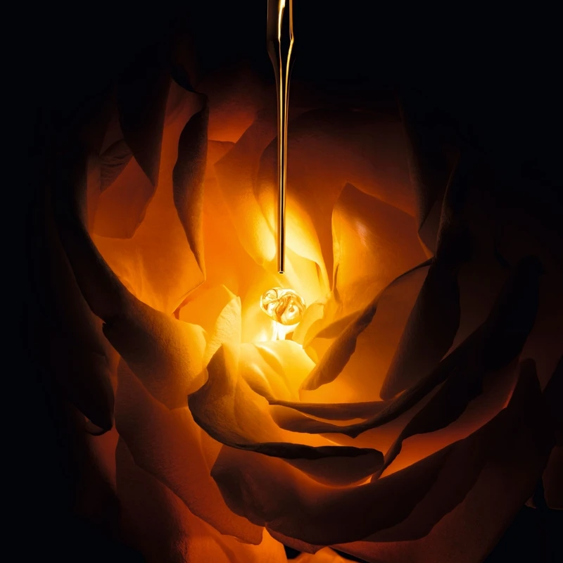 Dior迪奧岡維拉玫瑰仿生玫瑰外泌體。 Dior迪奧岡維拉玫瑰仿生玫瑰外泌體。