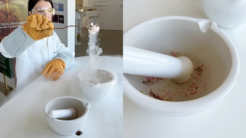 迪奧人員示範用液態氮把花瞬間冷凍,再將花瓣磨成粉末,最大程度保留分子活性。 迪奧人員示範用液態氮把花瞬間冷凍,再將花瓣磨成粉末,最大程度保留分子活性。