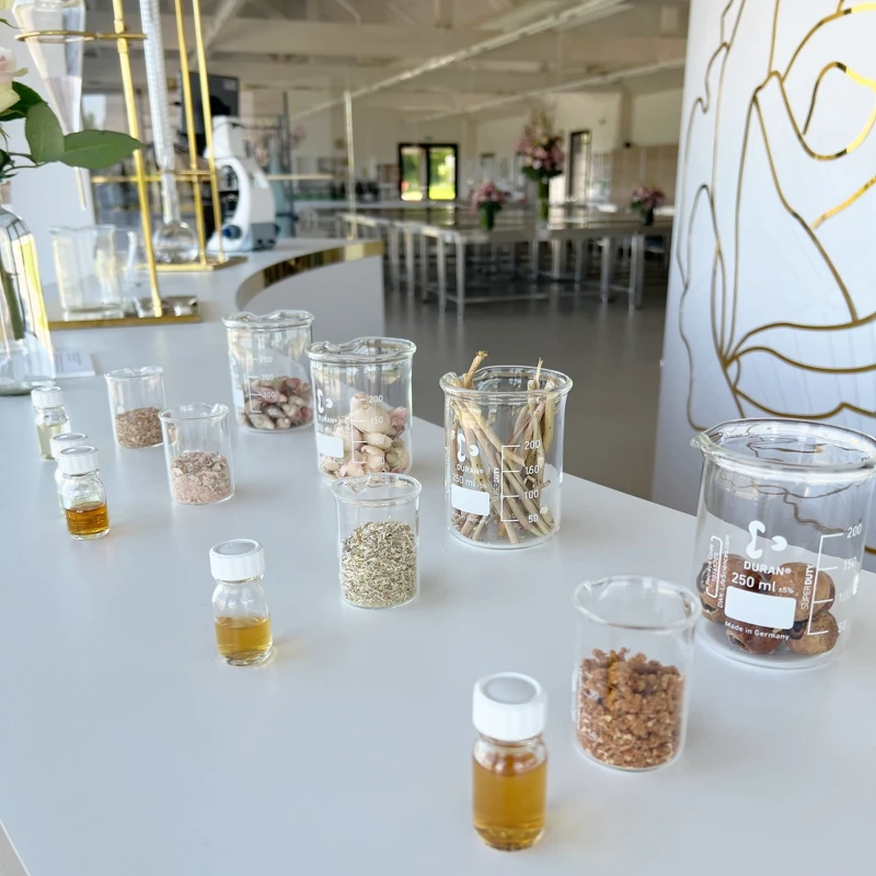 從岡維拉玫瑰不同的部位得到不同的萃取。 從岡維拉玫瑰不同的部位得到不同的萃取。