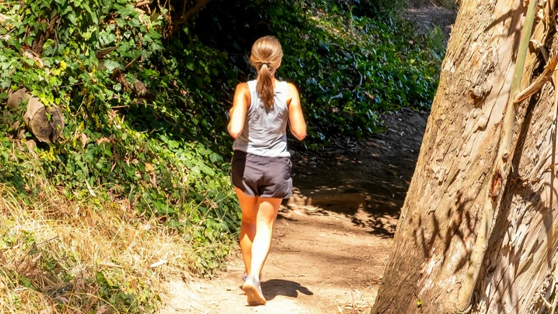 Photo/pexels.com Photo/pexels.com