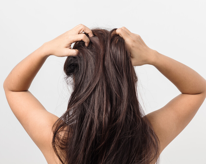 （圖說：圖片取自網路）