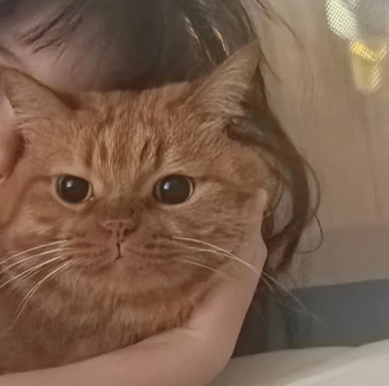 Photo/ 小紅書 @热依扎 Photo/ 小紅書 @热依扎