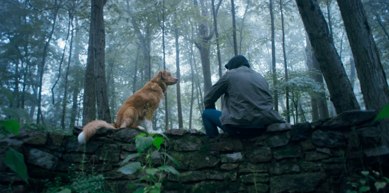 《乖狗狗》劇照 《乖狗狗》劇照