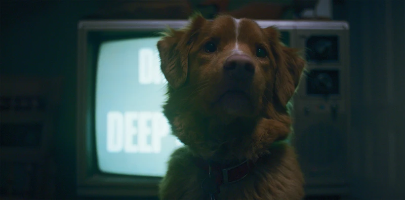 《乖狗狗》劇照 《乖狗狗》劇照