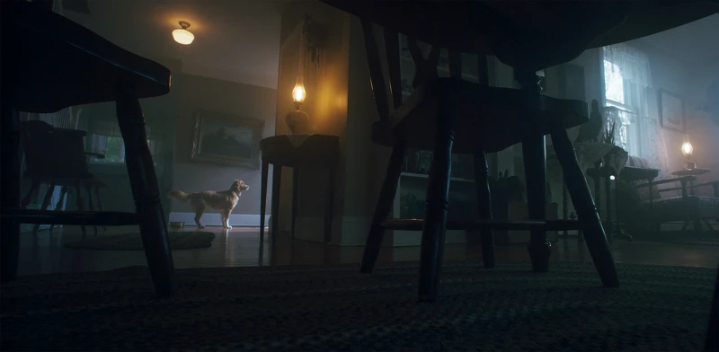 《乖狗狗》劇照 《乖狗狗》劇照