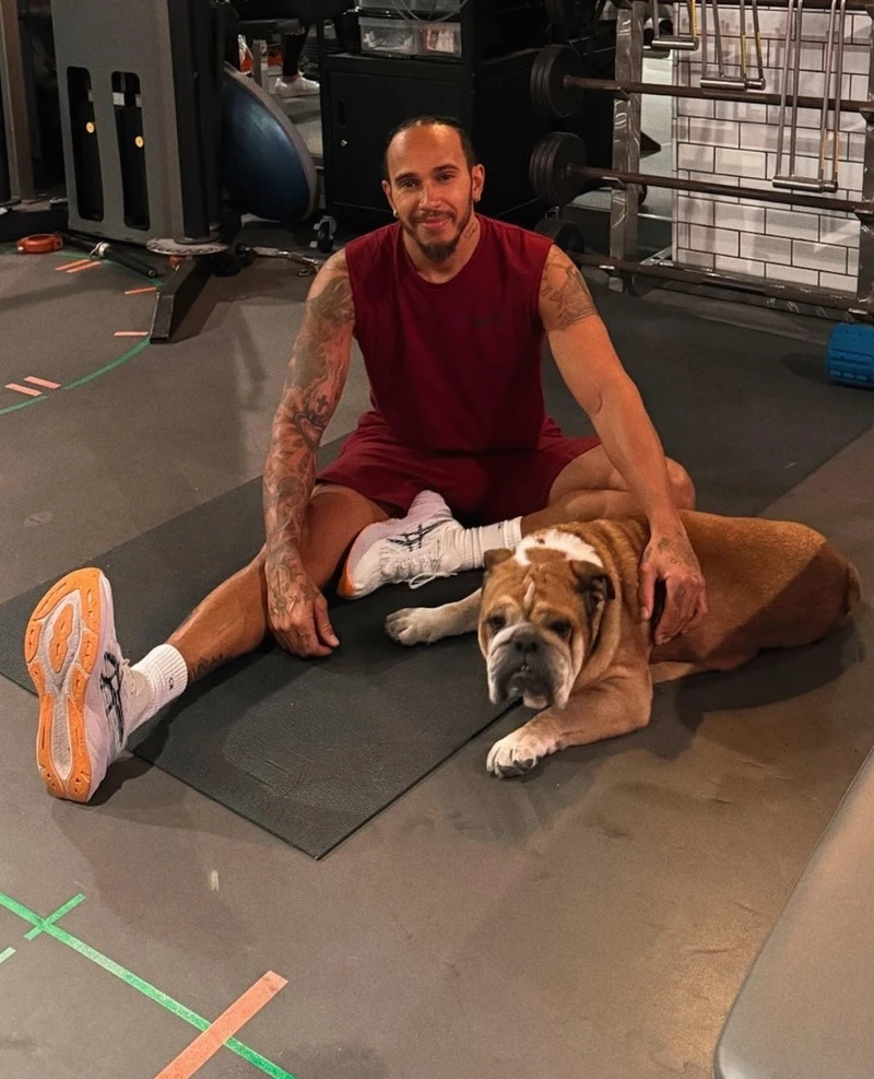 Lewis Hamilton 與愛犬 Roscoe Lewis Hamilton 與愛犬 Roscoe