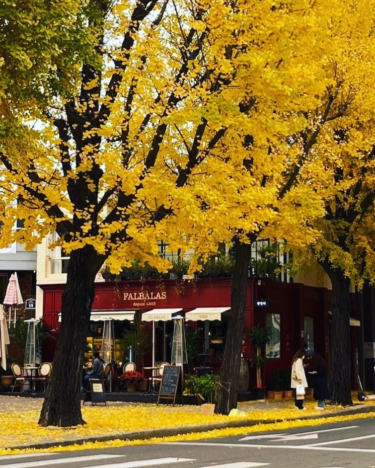 FALBALAS店面外觀(Photo/IG)。