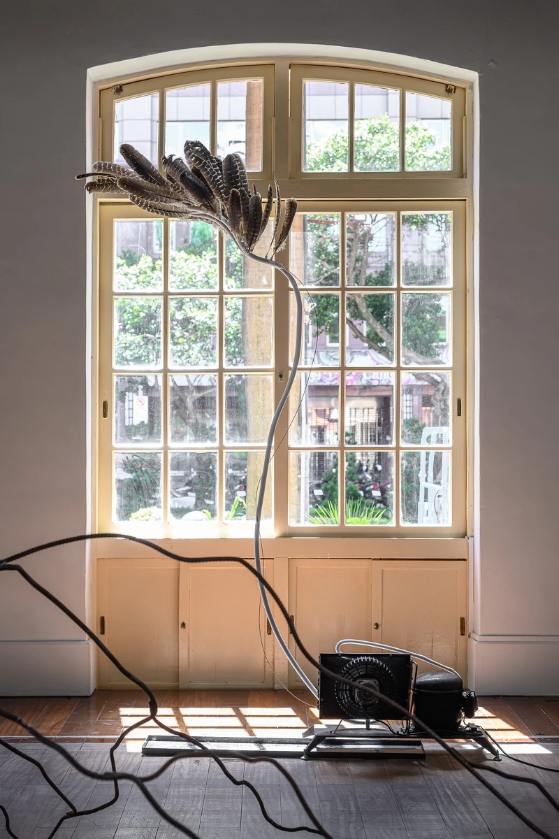 《冷凝》將冷氣銅管與羽毛並置,展現氣候變遷下冰冷與柔軟的對話。|展出現場|當代館提供 《冷凝》將冷氣銅管與羽毛並置,展現氣候變遷下冰冷與柔軟的對話。|展出現場|當代館提供