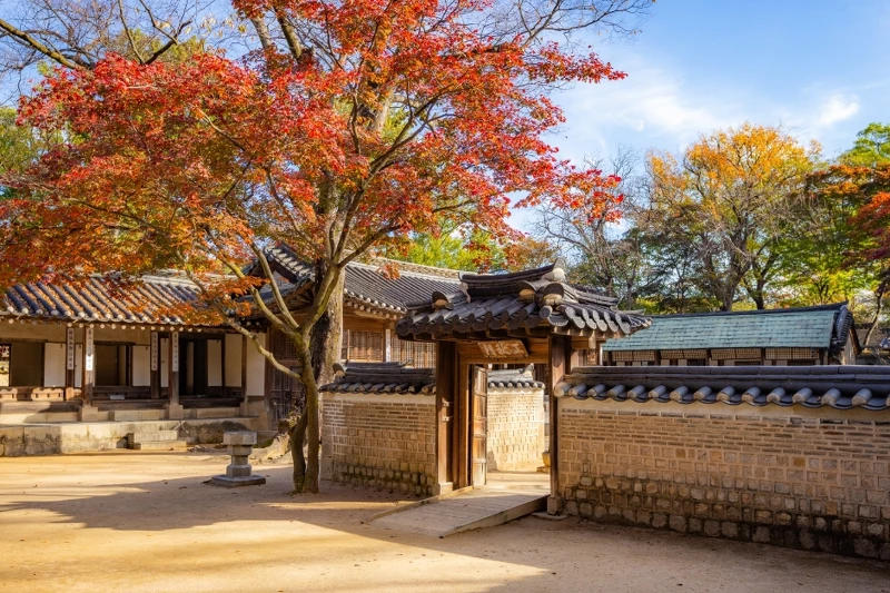 昌德宮(Photo/韓國觀光公社)。 昌德宮(Photo/韓國觀光公社)。