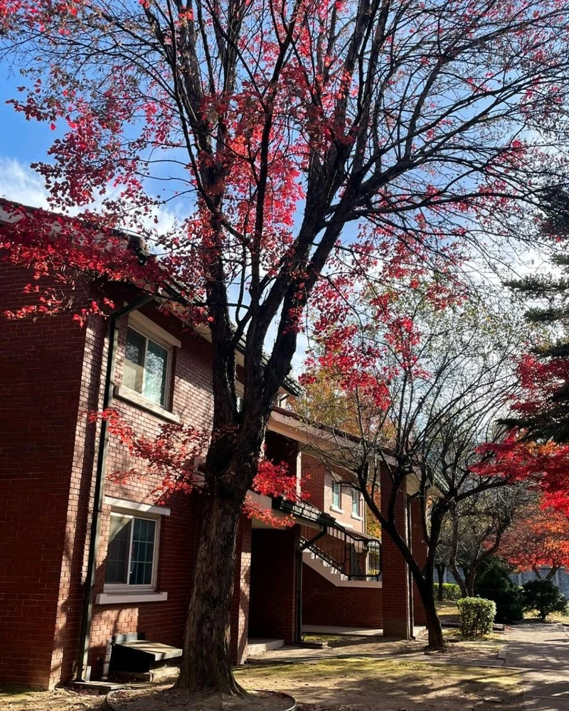 龍山公園(Photo/翻攝自Naver Map)。 龍山公園(Photo/翻攝自Naver Map)。