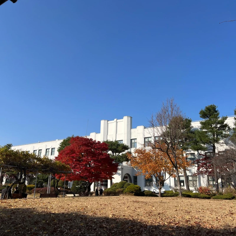 正讀讀書館(Photo/翻攝自Naver Map)。 正讀讀書館(Photo/翻攝自Naver Map)。