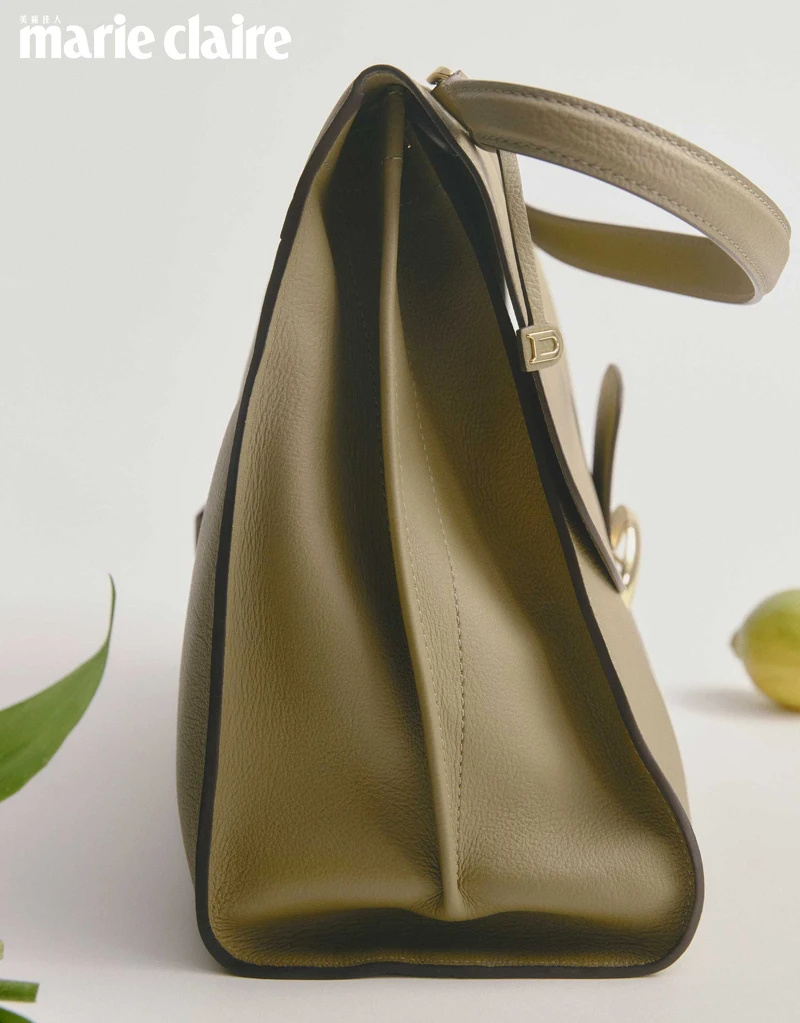 Delvaux Brillant Tempo。 Delvaux Brillant Tempo。