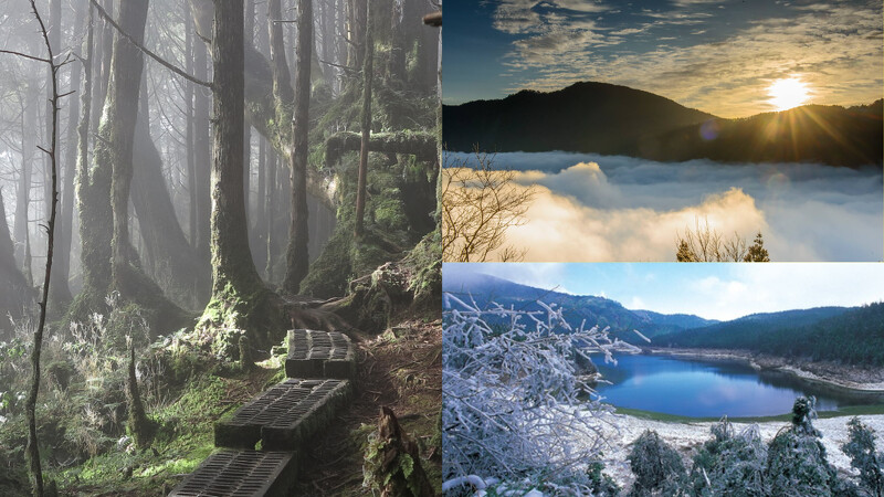 太平山國家森林遊樂區,Photo/太平山國家森林遊樂區入口網 太平山國家森林遊樂區,Photo/太平山國家森林遊樂區入口網
