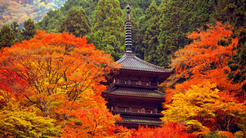 兵庫縣高源寺。Photo／西天目瑞巖山 高源寺｜丹波市観光協(xié)會