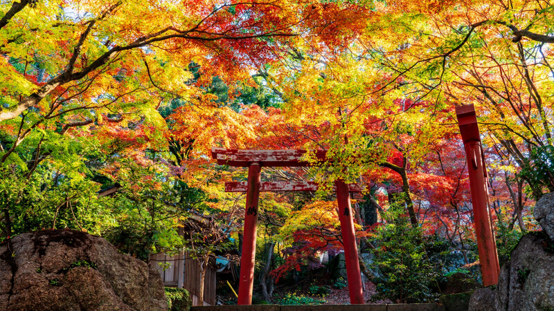 寶滿宮竈門神社。Photo／FB@竈門神社