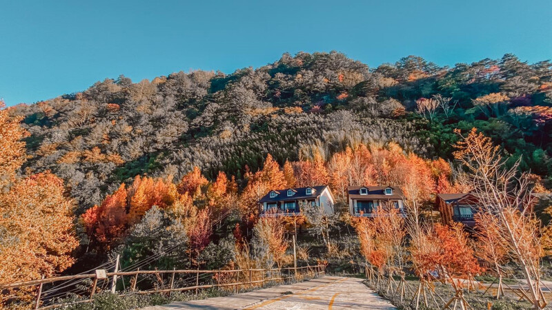 新竹司馬庫斯。Photo/FB@Smangus司馬庫斯 新竹司馬庫斯。Photo/FB@Smangus司馬庫斯