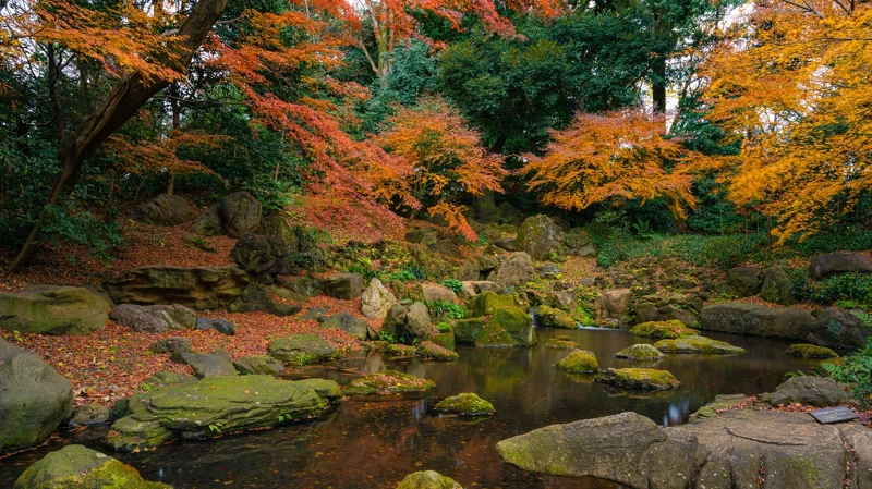 東京六義園。