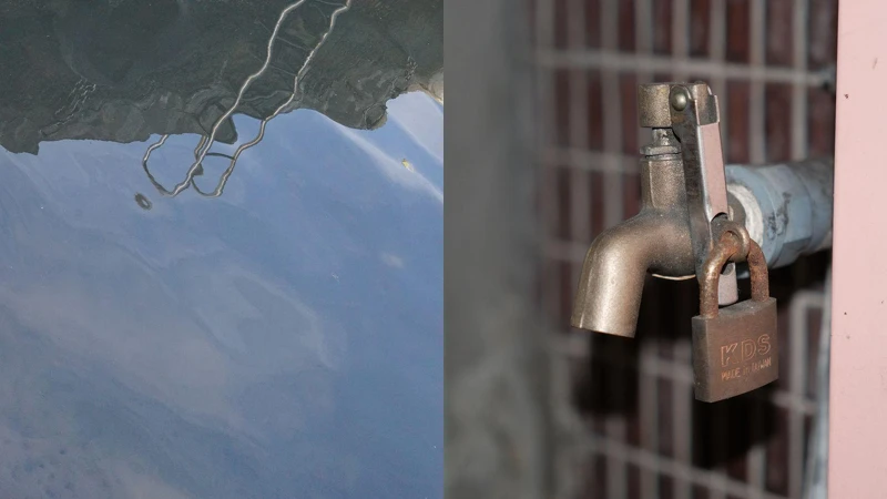 吉他手蔡有倫及貝斯手達達攝影圖。 吉他手蔡有倫及貝斯手達達攝影圖。