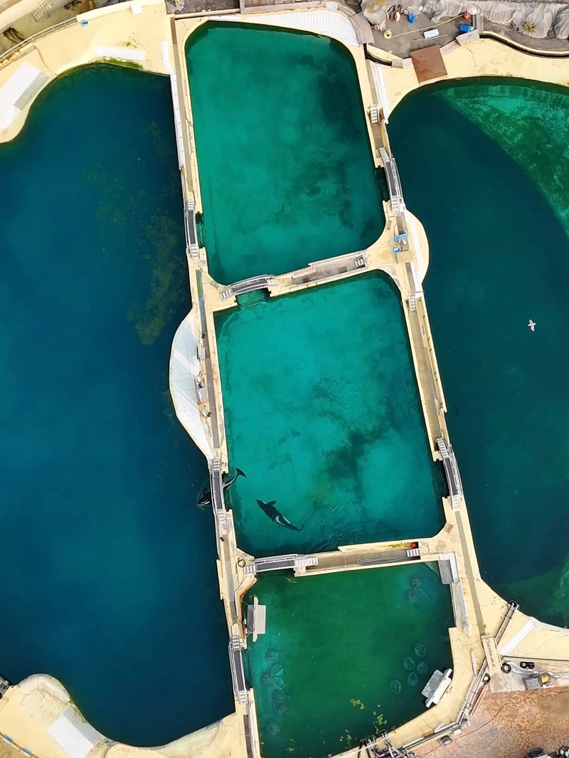 Photo/IG@sephlawless Photo/IG@sephlawless