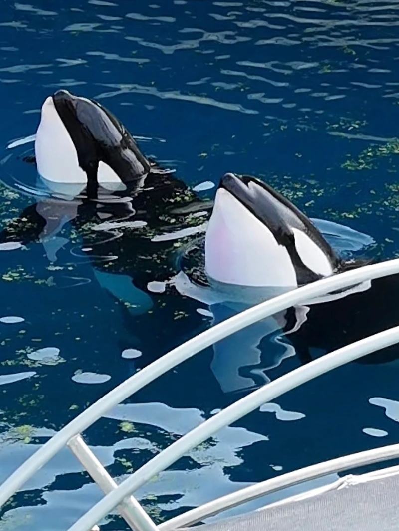 Photo/IG@sephlawless Photo/IG@sephlawless