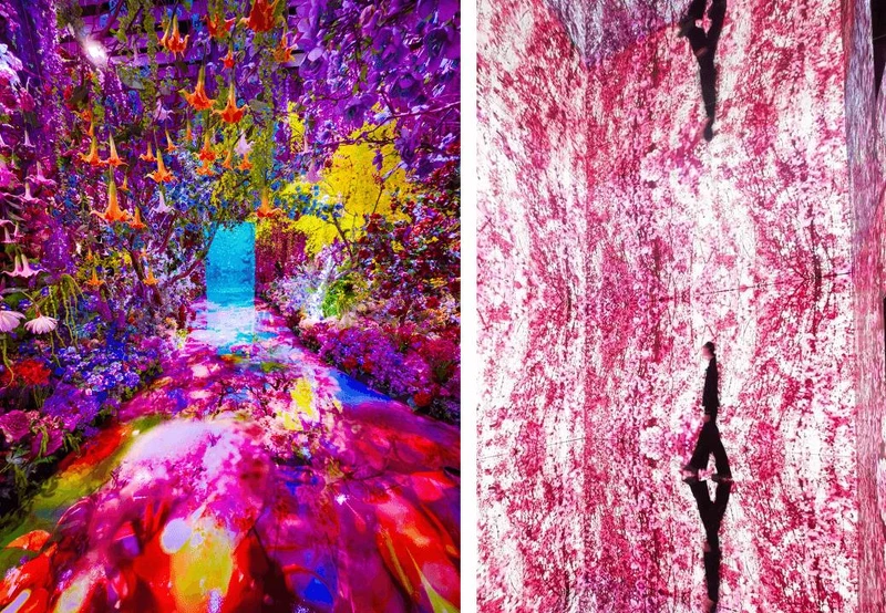 &copy;mika ninagawa, Courtesy of Tomio Koyama Gallery