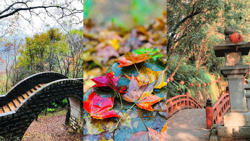 新北拱北殿。Photo/FB@汐止區公所-水返腳大小事 新北拱北殿。Photo/FB@汐止區公所-水返腳大小事