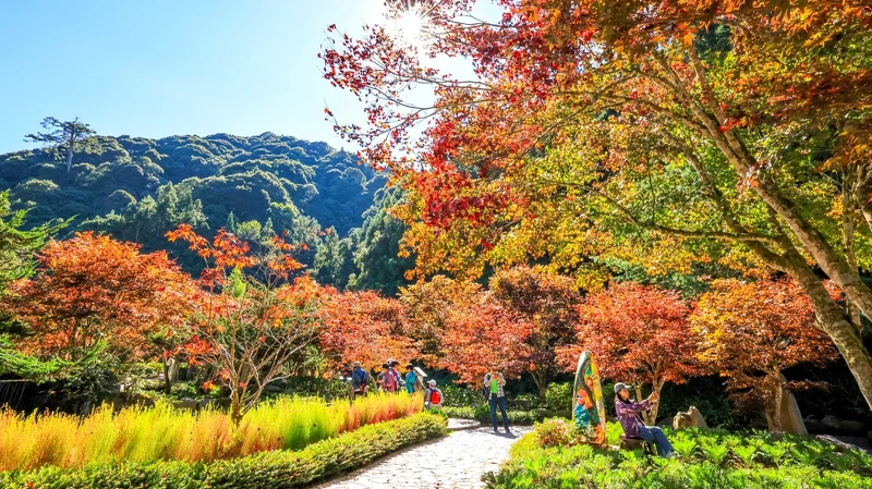 南投杉林溪森林生態渡假園區。Photo/FB@愛上杉林溪 南投杉林溪森林生態渡假園區。Photo/FB@愛上杉林溪