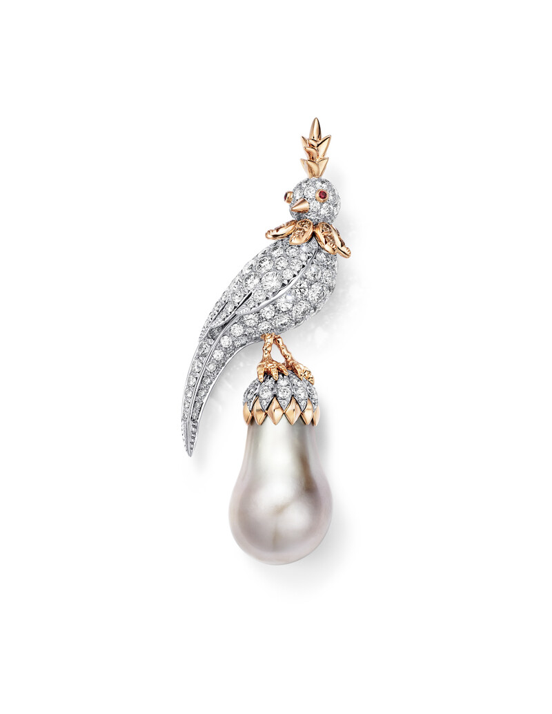 Jean Schlumberger by Tiffany 珍珠石上鳥胸針_18K玫瑰金及鉑金鑲嵌淺灰色水滴形天然海水珍珠，香檳色鑽石，鑽石及紅寶石（約價1.3億台幣，為本次展出珍珠石上鳥系列中最高價作品）