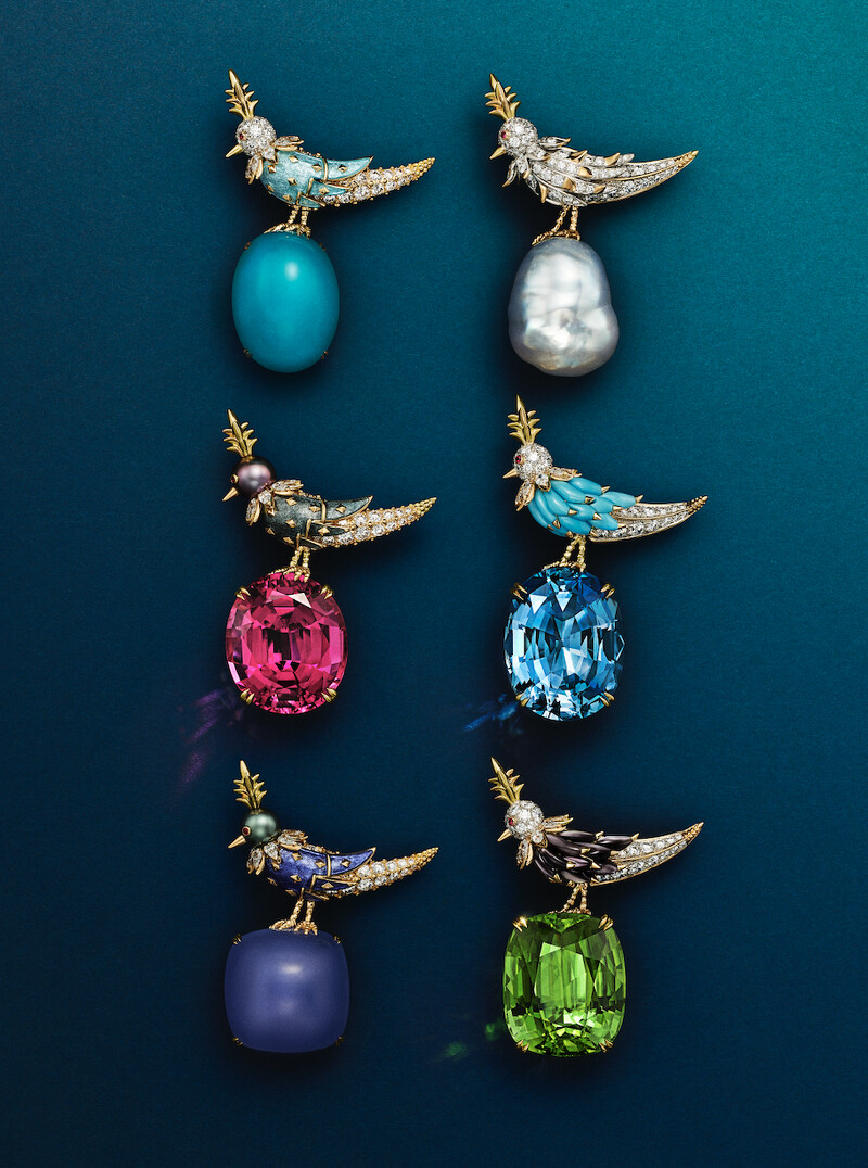 Jean Schlumberger by Tiffany 高級珠寶系列 Rainbow Bird on a Rock「彩虹石上鳥」胸針