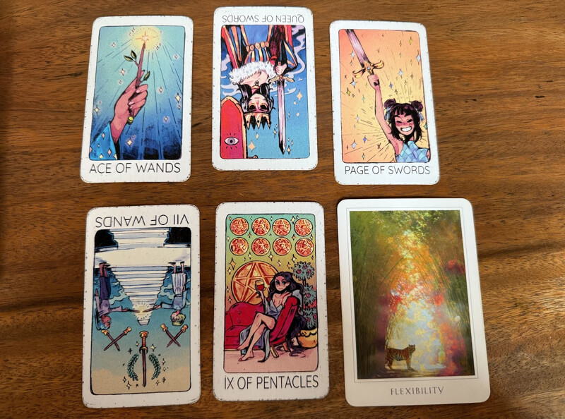 Photo / 塔羅耳語