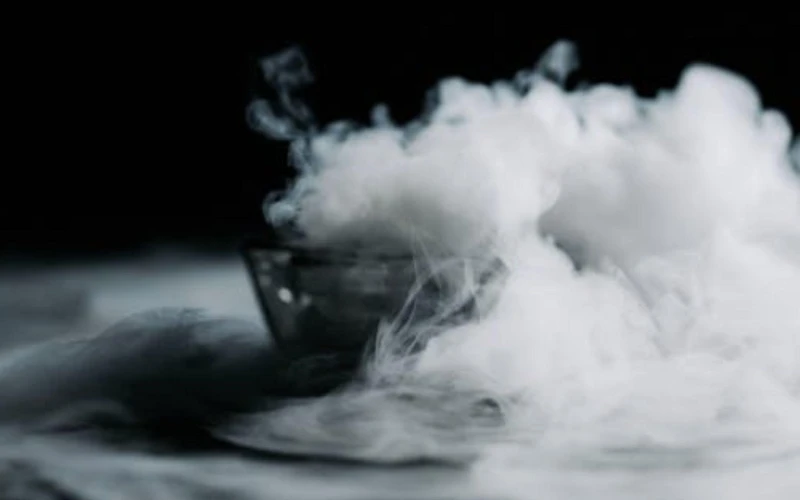 Photo/ Pexels Photo/ Pexels