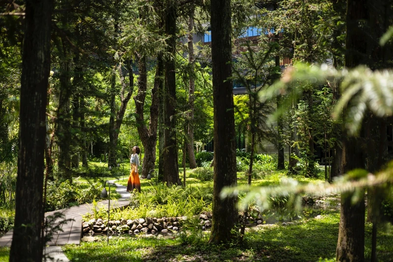 「虹夕諾雅 谷關」在年末推出重磅企劃「漆脈相傳」。