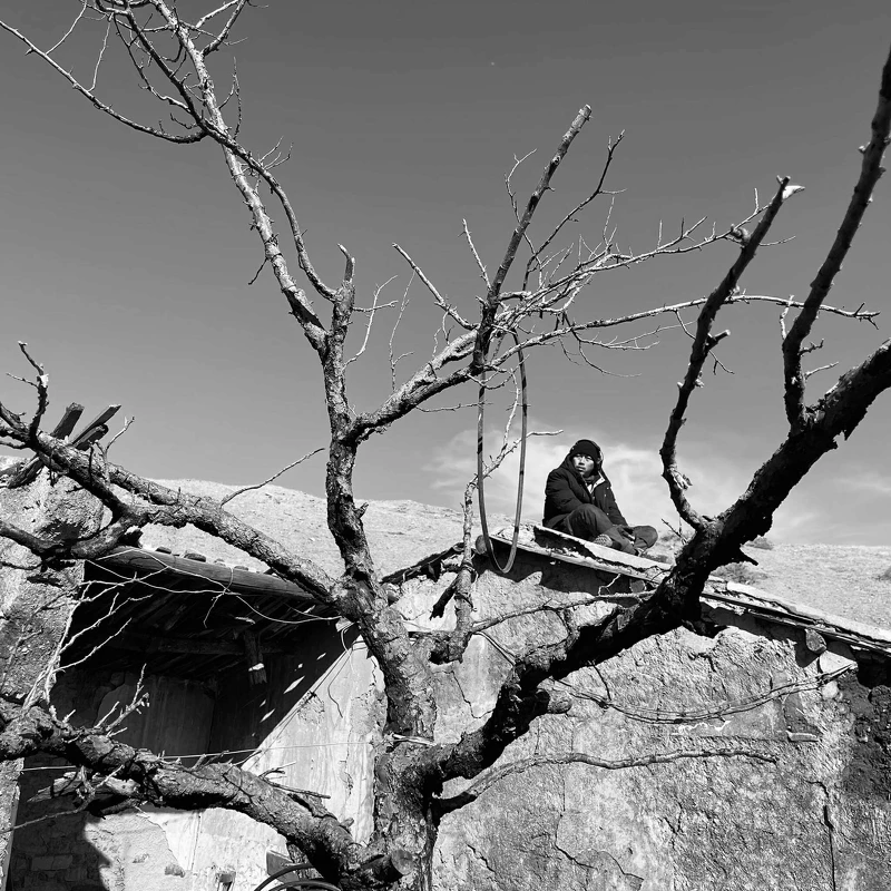 陳克勤提供 陳克勤提供