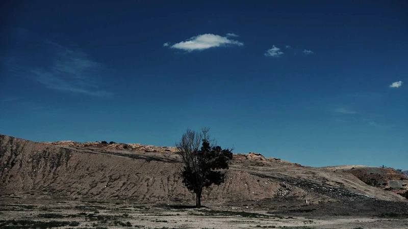 陳克勤攝影作品。|陳克勤提供 陳克勤攝影作品。|陳克勤提供