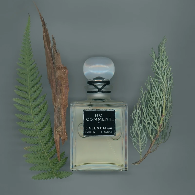 Balenciaga No Comment香精100ml，NT10,000