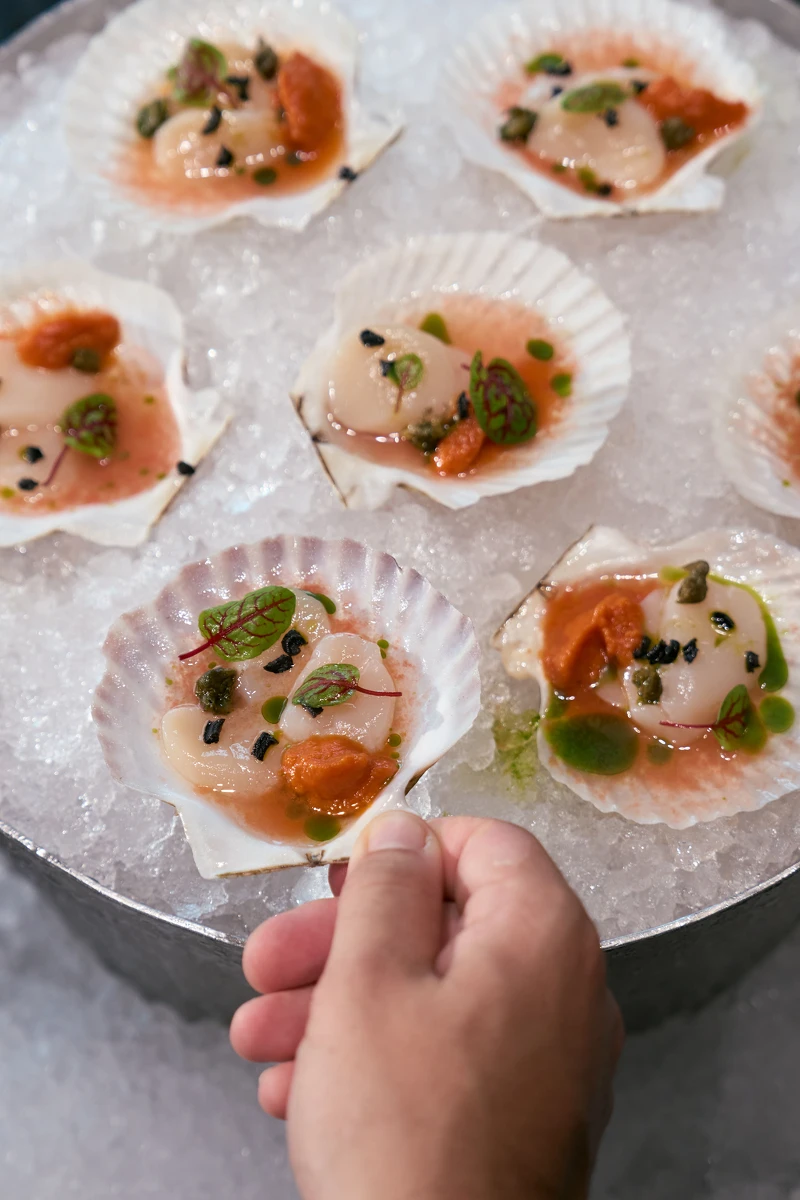 北海道扇貝佐澄清番茄湯