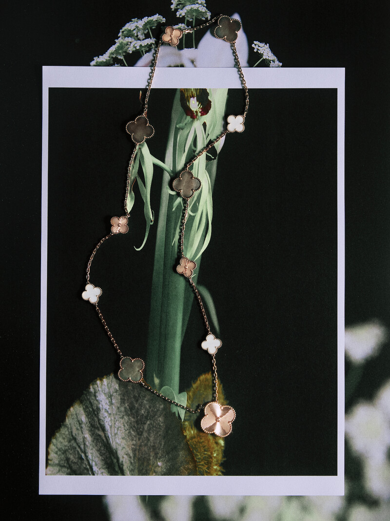 Magic Alhambra 可轉換式長項鍊,15枚四葉幸運圖騰(可轉換為11枚項鍊與4枚手鍊),18K 玫瑰金鑲嵌灰色及白色珍珠母貝,Van Cleef & Arpels。 Magic Alhambra 可轉換式長項鍊,15枚四葉幸運圖騰(可轉換為11枚項鍊與4枚手鍊),18K 玫瑰金鑲嵌灰色及白色珍珠母貝,Van Cleef & Arpels。