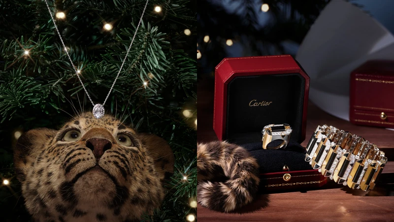 Cartier Destin&eacute;e鑽石項鍊（左）；G&eacute;ometrie & Contrastes手鐲、戒指。