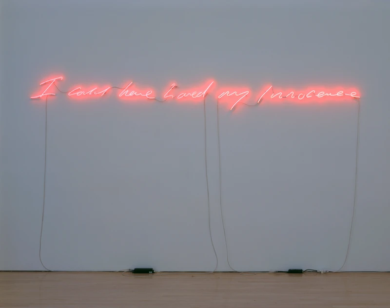 Tracey Emin, I could have Loved my Innocence 2007 © Tracey Emin
