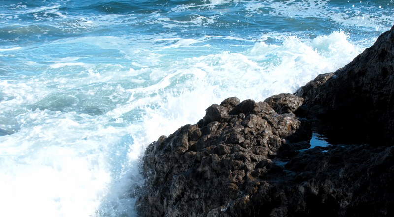 Photo / 塔羅耳語