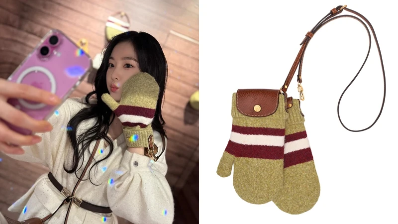 Le Pliage Collection 連指手套包，NT$15,800。