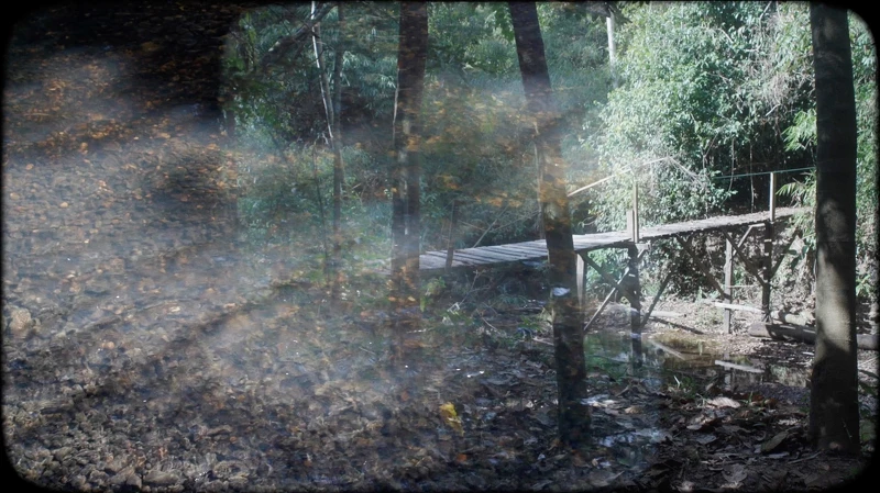 阿比查邦《For Bruce》(影格),2022。雙頻道 HD 錄像,彩色,立體聲音效,18分46秒。© Apichatpong Weerasethakul 阿比查邦《For Bruce》(影格),2022。雙頻道 HD 錄像,彩色,立體聲音效,18分46秒。© Apichatpong Weerasethakul