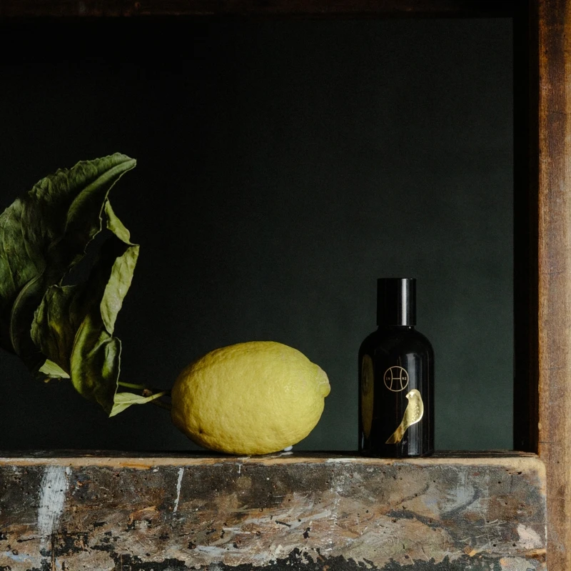 Perfumer H 限定版佛手柑淡香精50ml，NT6,200