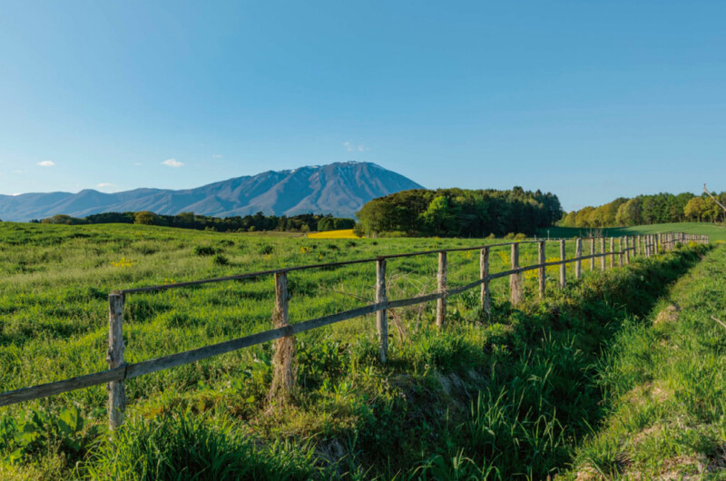 「AZUMA FARM KOIWAI」位在岩手縣小岩井農場內。 「AZUMA FARM KOIWAI」位在岩手縣小岩井農場內。