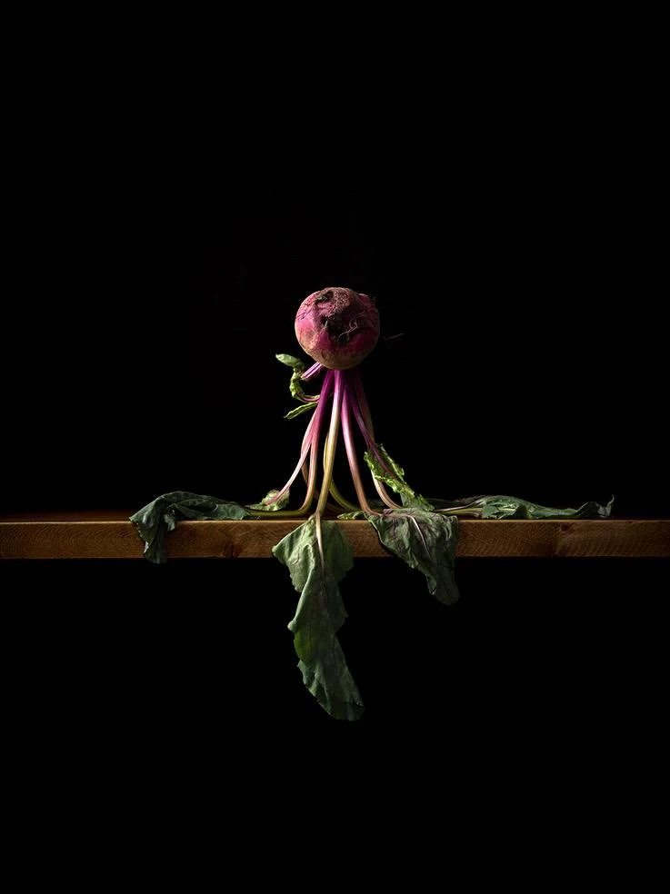 板谷丽 _ Rei ITAYA _ 1978 _ Japan 甜菜沙拉 Beet Salad 42.4&times;34.9 银盐印刷 Lambda Print 2023
