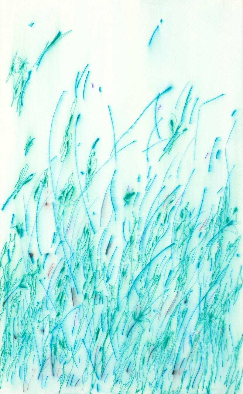 谢榕蔚 _ 2025.08.06_ gel ink pen on paper_2025