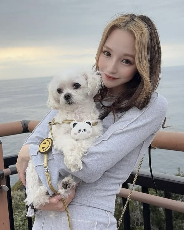 Photo/ IG @yuria_suzuki